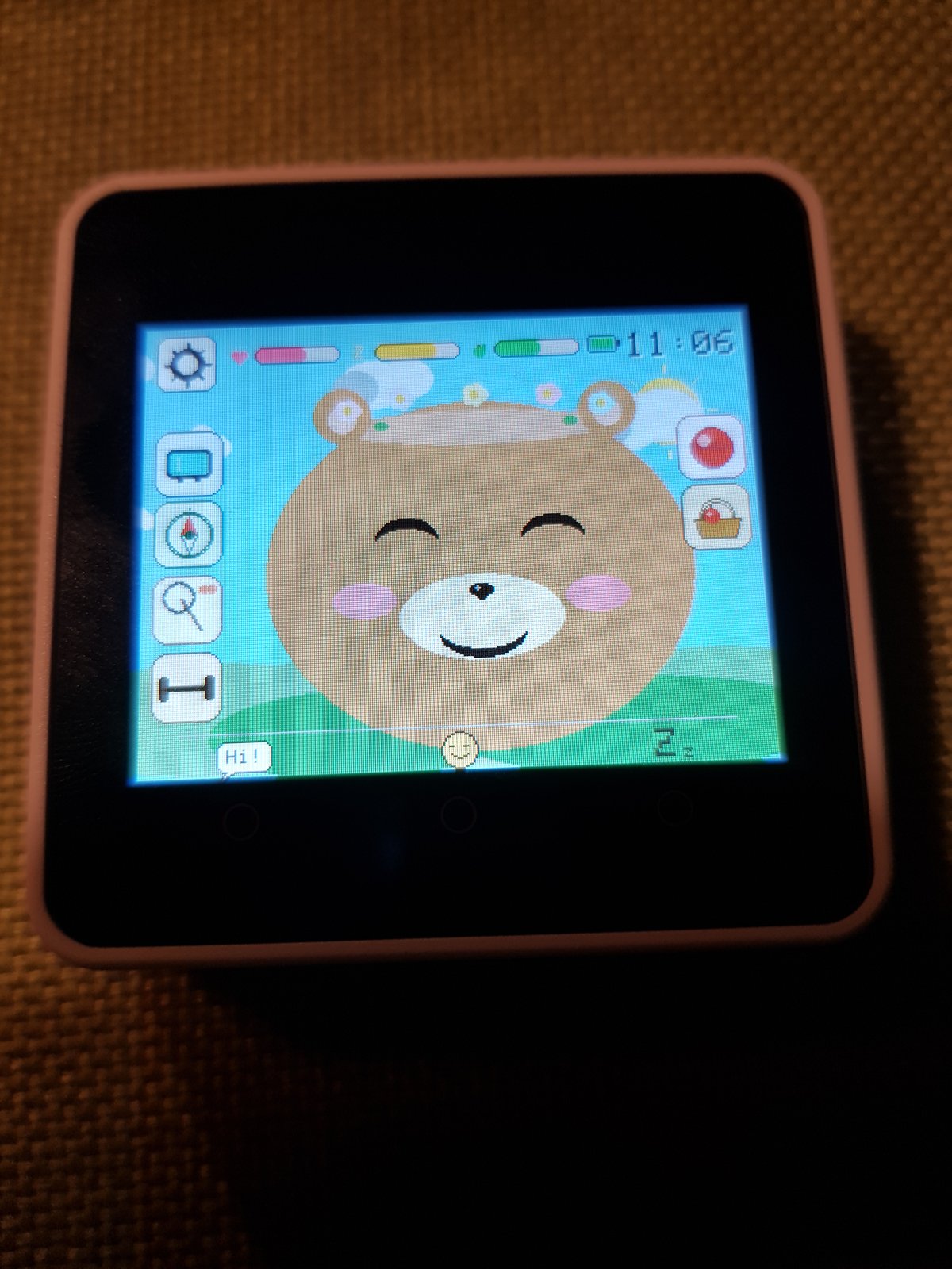 Goo-Goo close-up showing the bear pet on a meadow scene